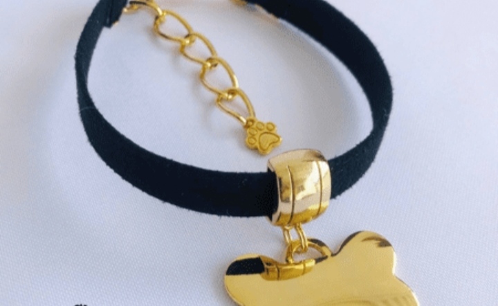 COLEIRA PREMIUM COM PINGENTE DOURADO