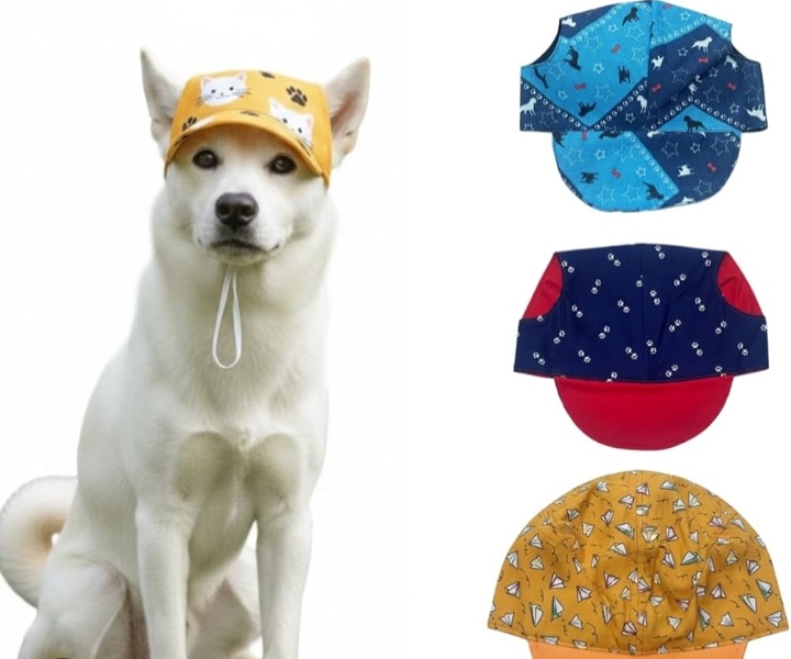 BONÉ PARA PETS