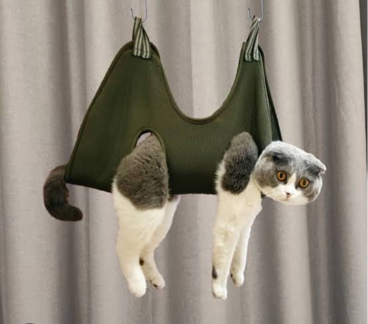 REDE SUSPENSA PARA GATOS