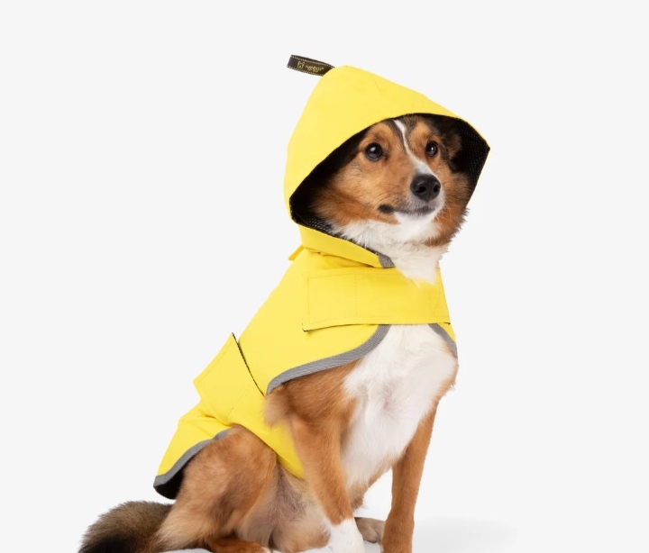 CAPA DE CHUVA IMPERMEÁVEL PARA CÃES