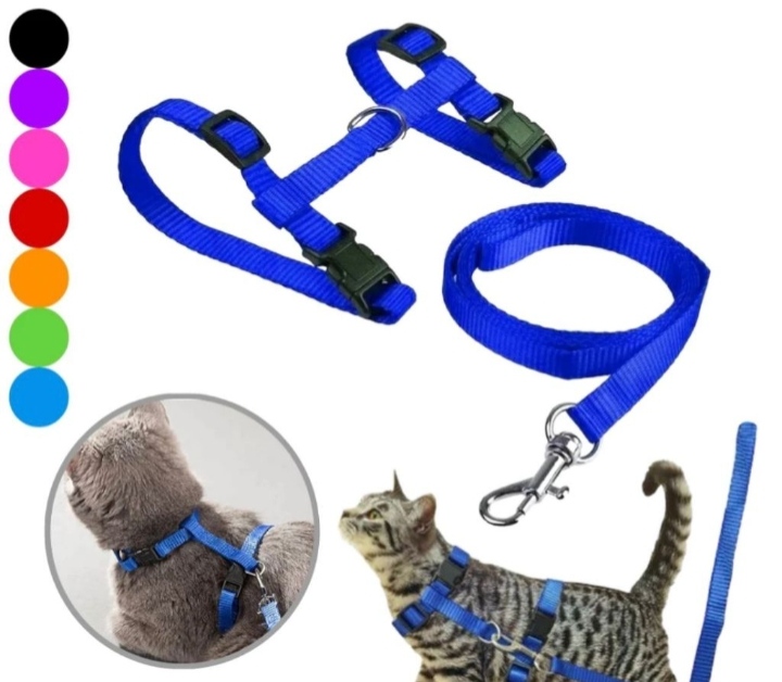 PEITORAL COM GUIA PARA GATOS